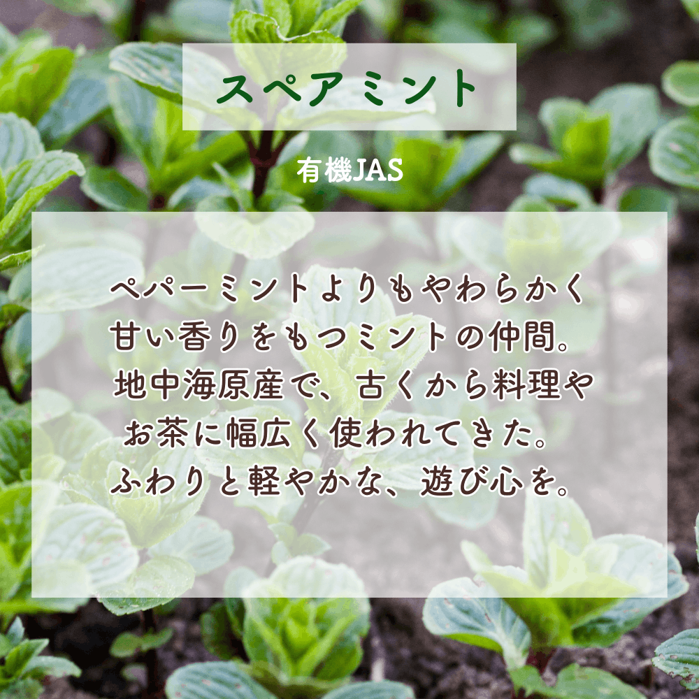 No4 Yui 調和の光(第4チャクラ)