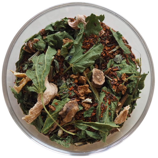 No1 Minamoto 大地の光(第1チャクラ)