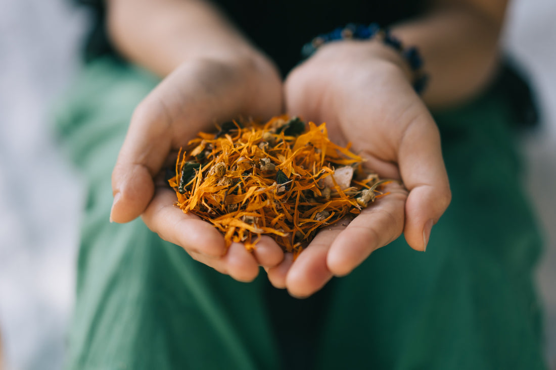 なぜ「茶葉」でなければならないのか。効率よりも、生命の躍動を選んだ理由