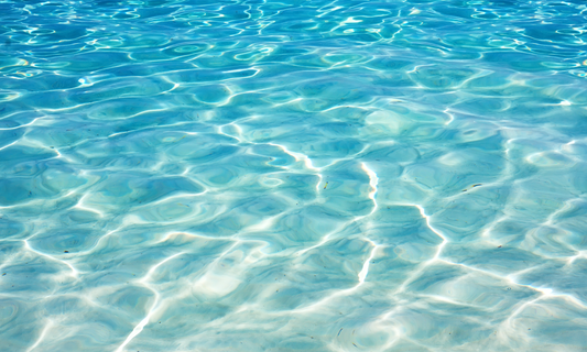 ハーブの周波数で自分を満たす。内側のノイズを洗い流す「浄化」のひととき