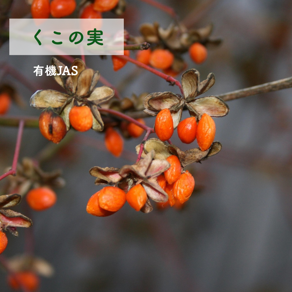 No7 Meguri 祝福の光(第7チャクラ)