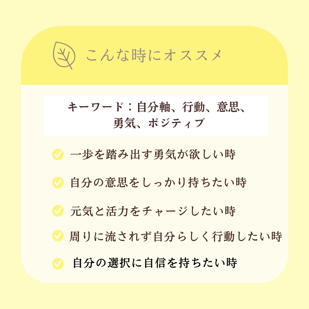 No3 Kira 輝きの光(第3チャクラ)