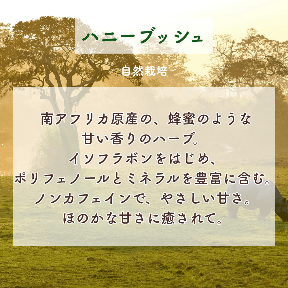 No3 Kira 輝きの光(第3チャクラ)