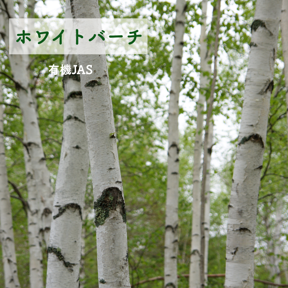 No7 Meguri 祝福の光(第7チャクラ)