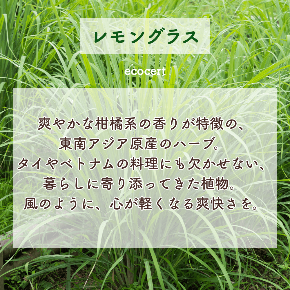 No6 Rin 目覚めの光(第6チャクラ)