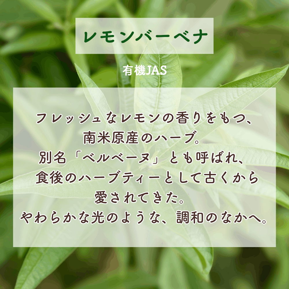No2 Mai 喜びの光(第2チャクラ)