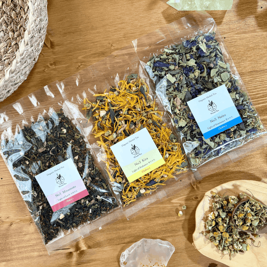 春、軽やかに動き出す3種セット