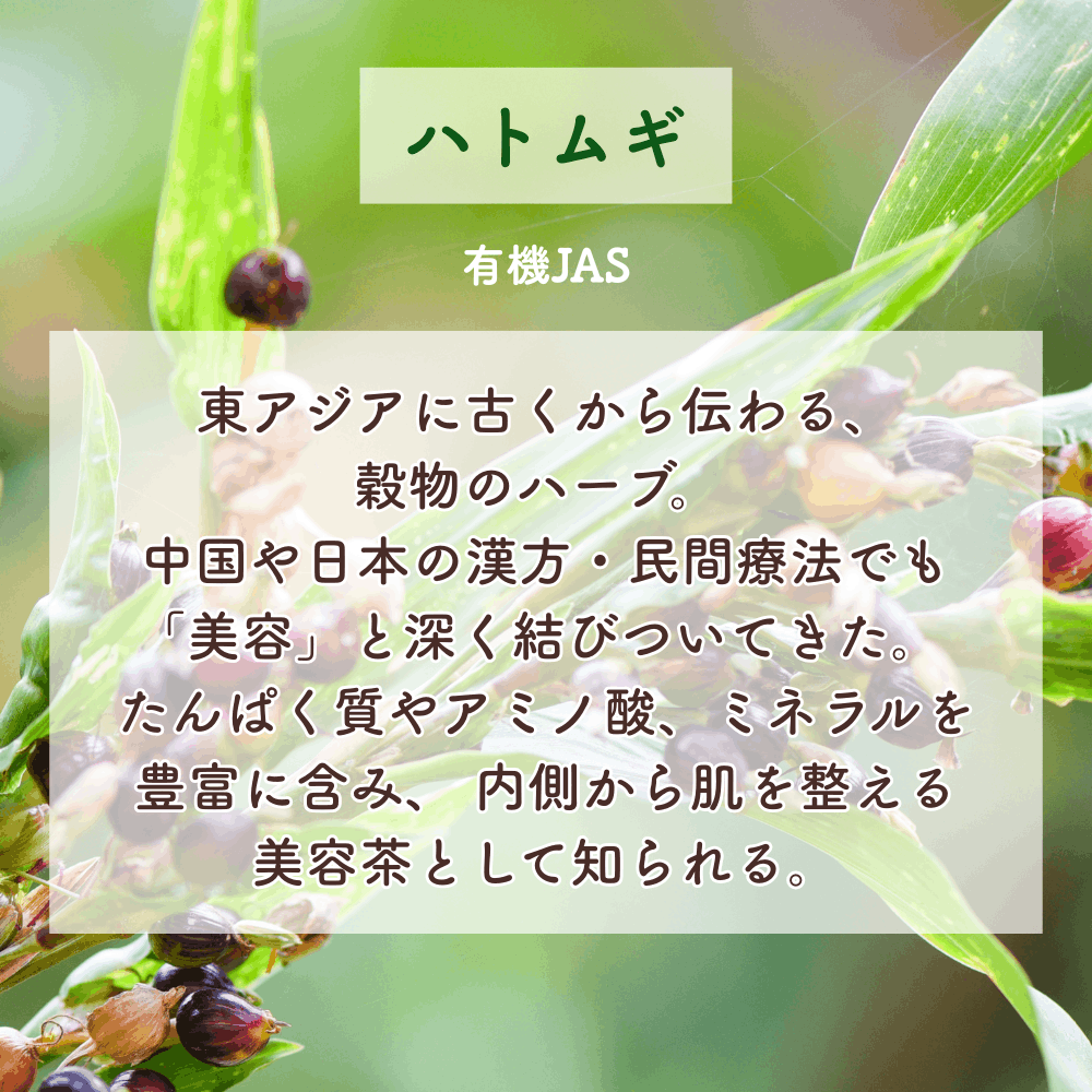 No6 Rin 目覚めの光(第6チャクラ)