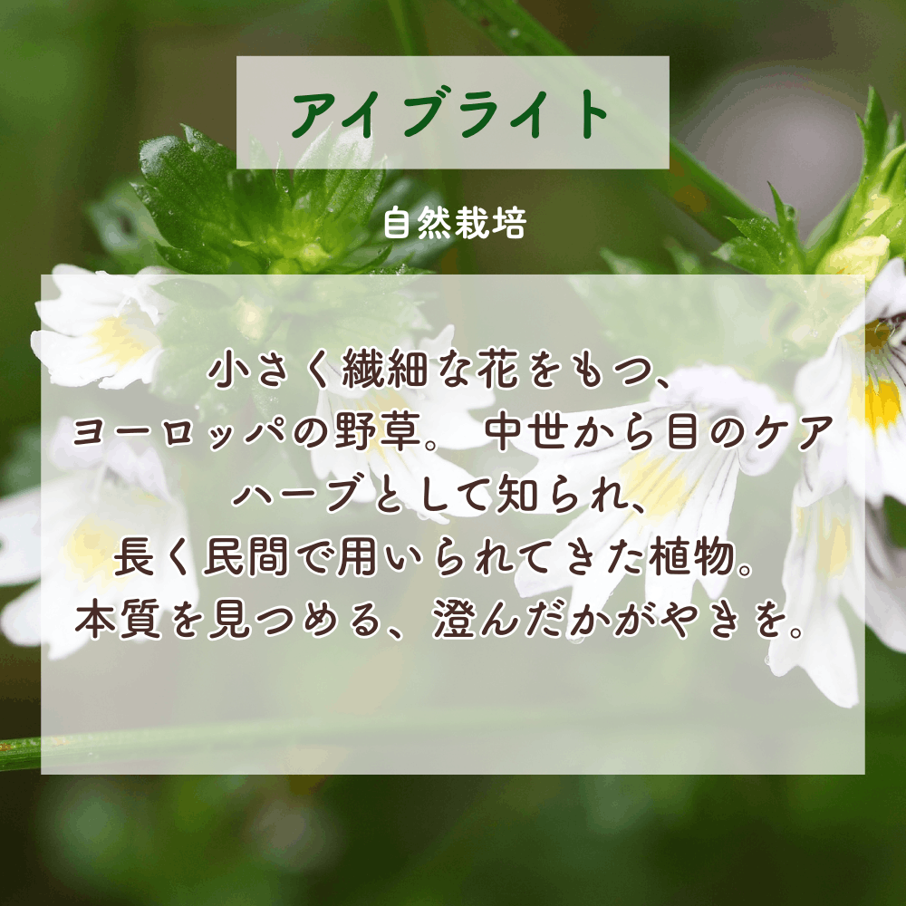 No6 Rin 目覚めの光(第6チャクラ)