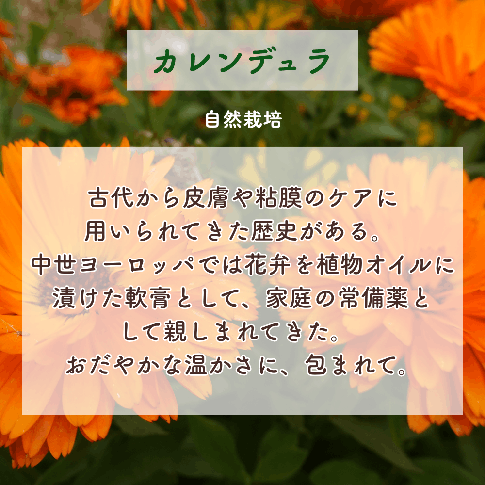 No3 Kira 輝きの光(第3チャクラ)