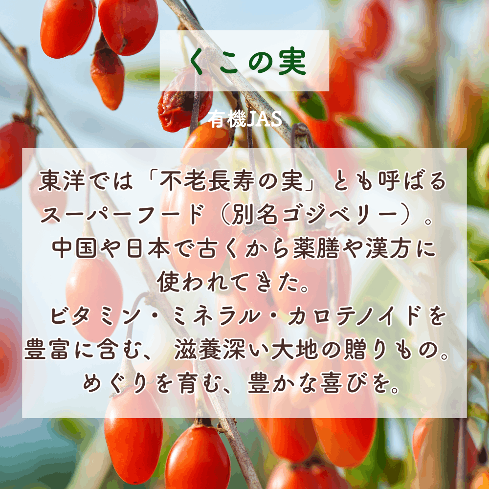 No7 Meguri Light of Blessings (7th Chakra)