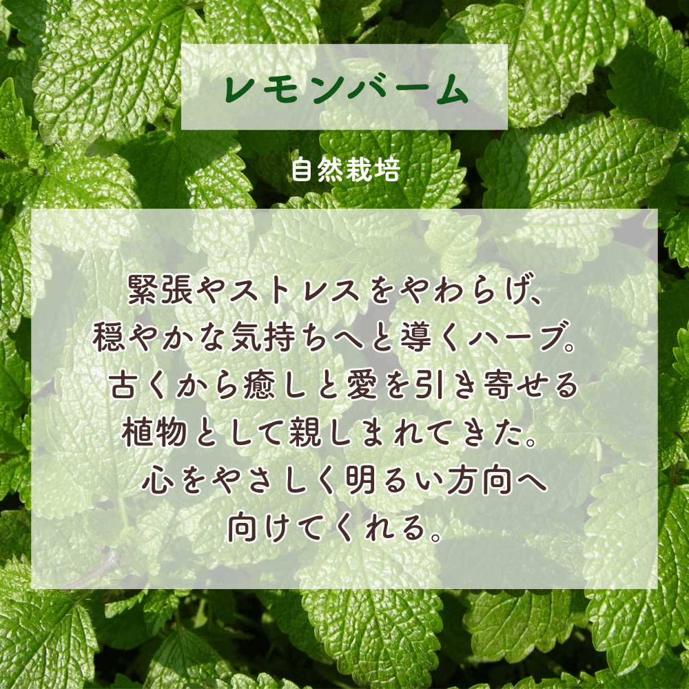 No4 Yui 調和の光(第4チャクラ)