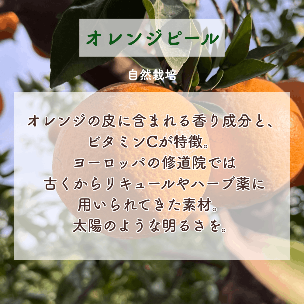 No3 Kira 輝きの光(第3チャクラ)
