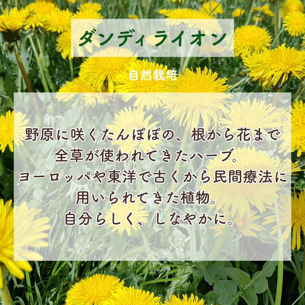 No. 1 Minamoto - Light of the Earth (1st Chakra)