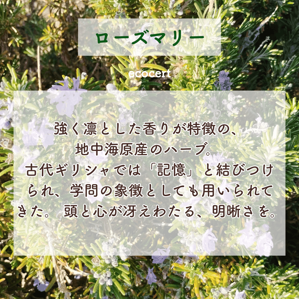 No6 Rin 目覚めの光(第6チャクラ)