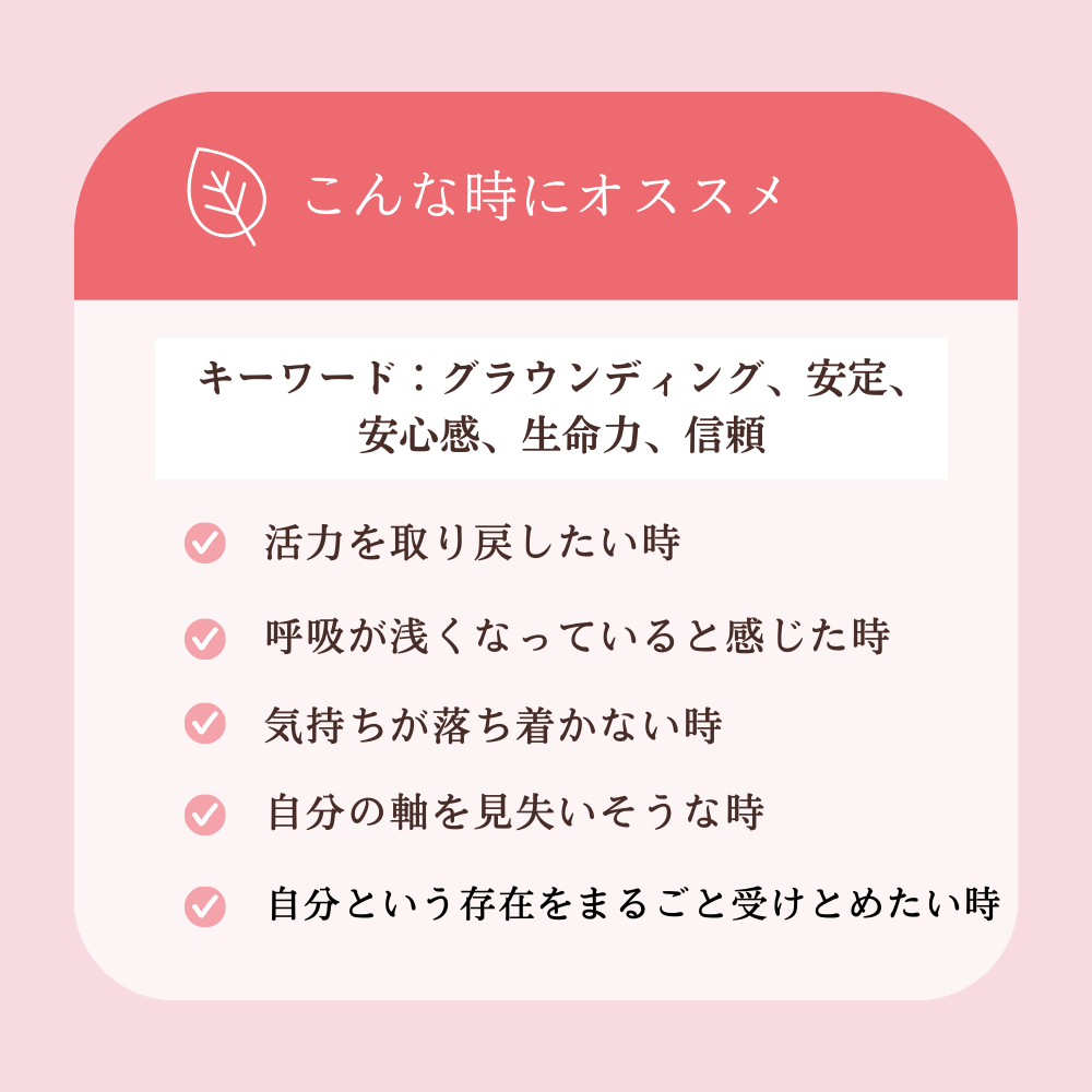 No1 Minamoto  大地の光(第1チャクラ)