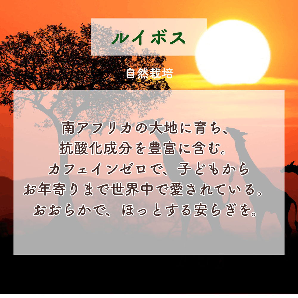 No. 1 Minamoto - Light of the Earth (1st Chakra)