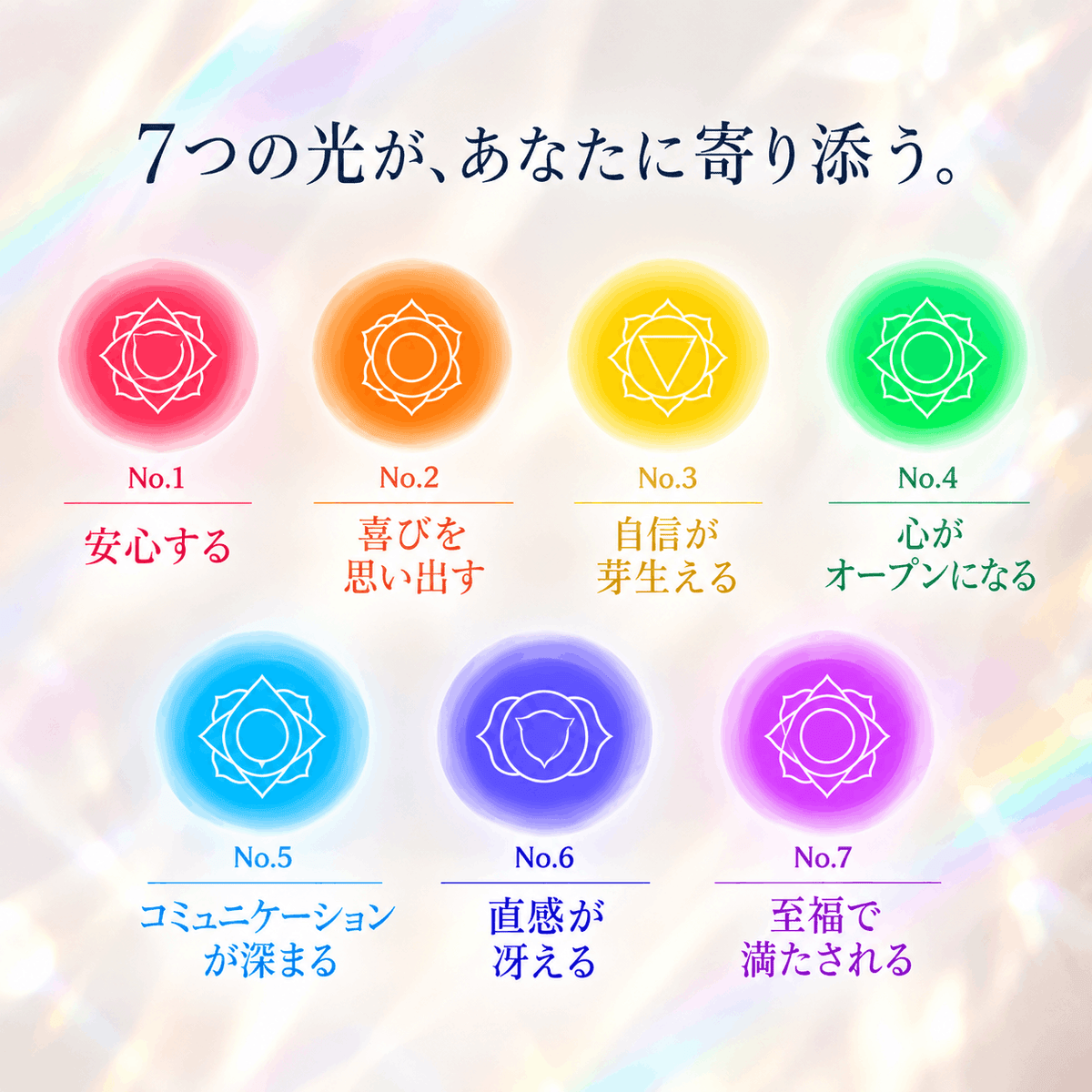 Tea Journey BOX《７種類✖️1包アソート・オーディオガイド付き》