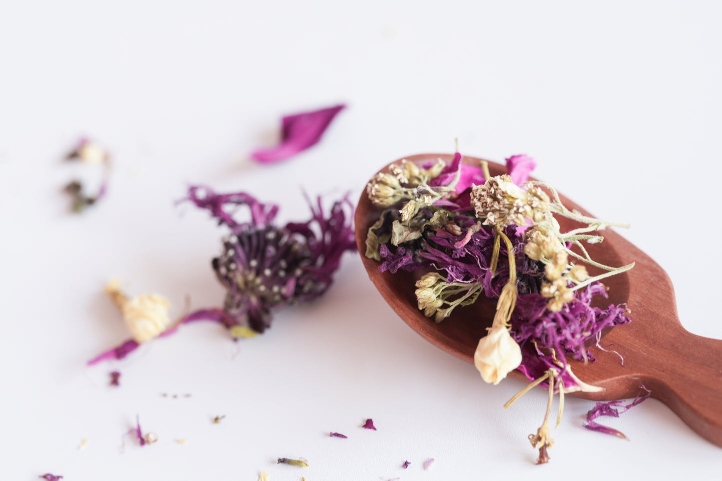 Pure -  Light of Love | 愛の光