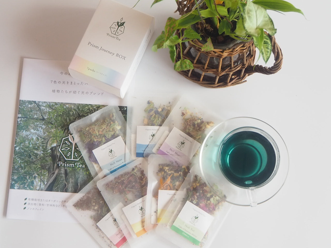 【ゼロロス】Prism Journey BOX《７種類✖️1包（リーフ）》