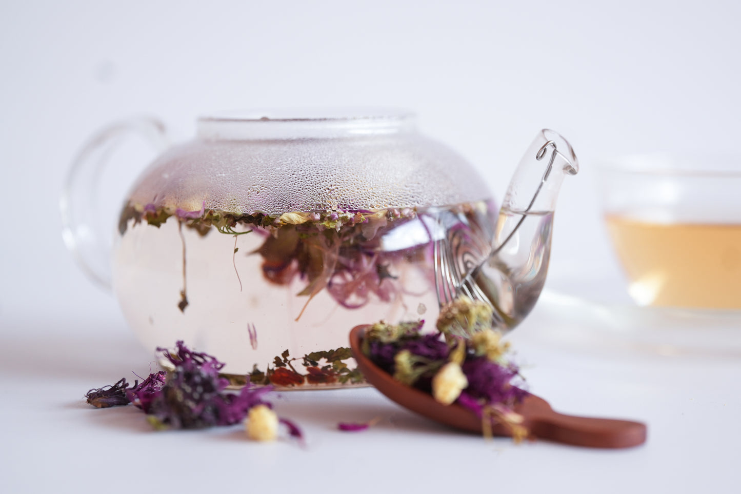 Pure -  Light of Love | 愛の光