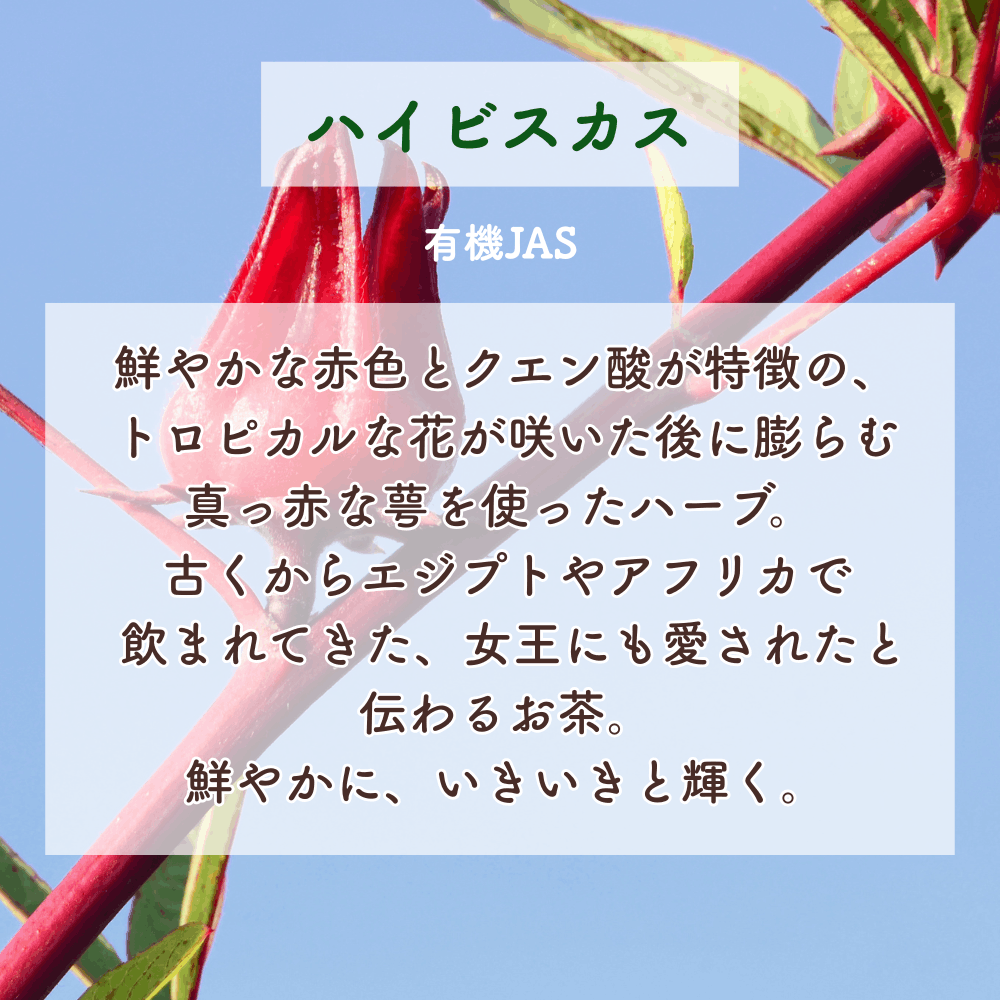 No2 Mai 喜びの光(第2チャクラ)