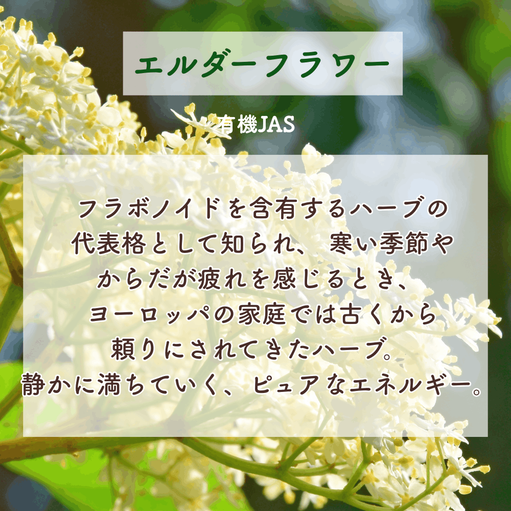No5 Neiro 響きの光(第5チャクラ)