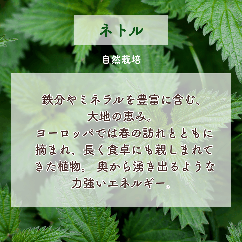 No. 1 Minamoto - Light of the Earth (1st Chakra)
