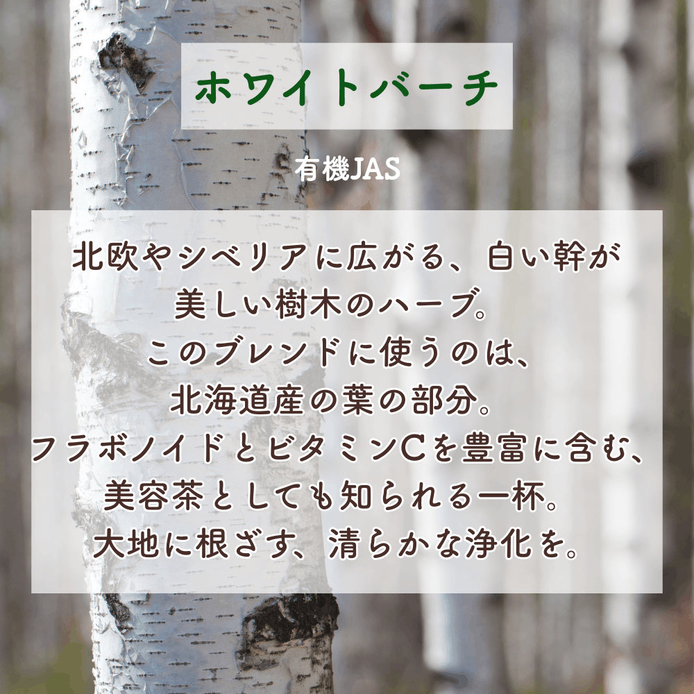 No7 Meguri Light of Blessings (7th Chakra)