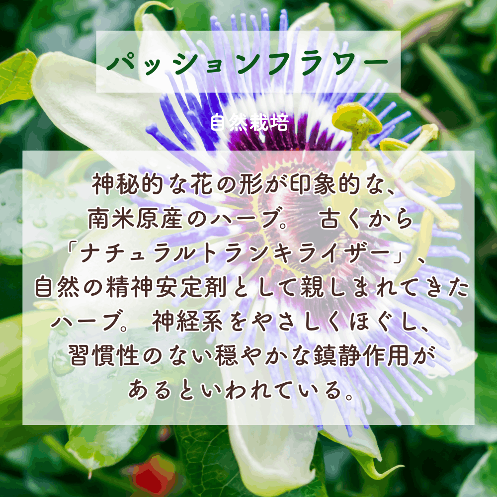 No7 Meguri Light of Blessings (7th Chakra)
