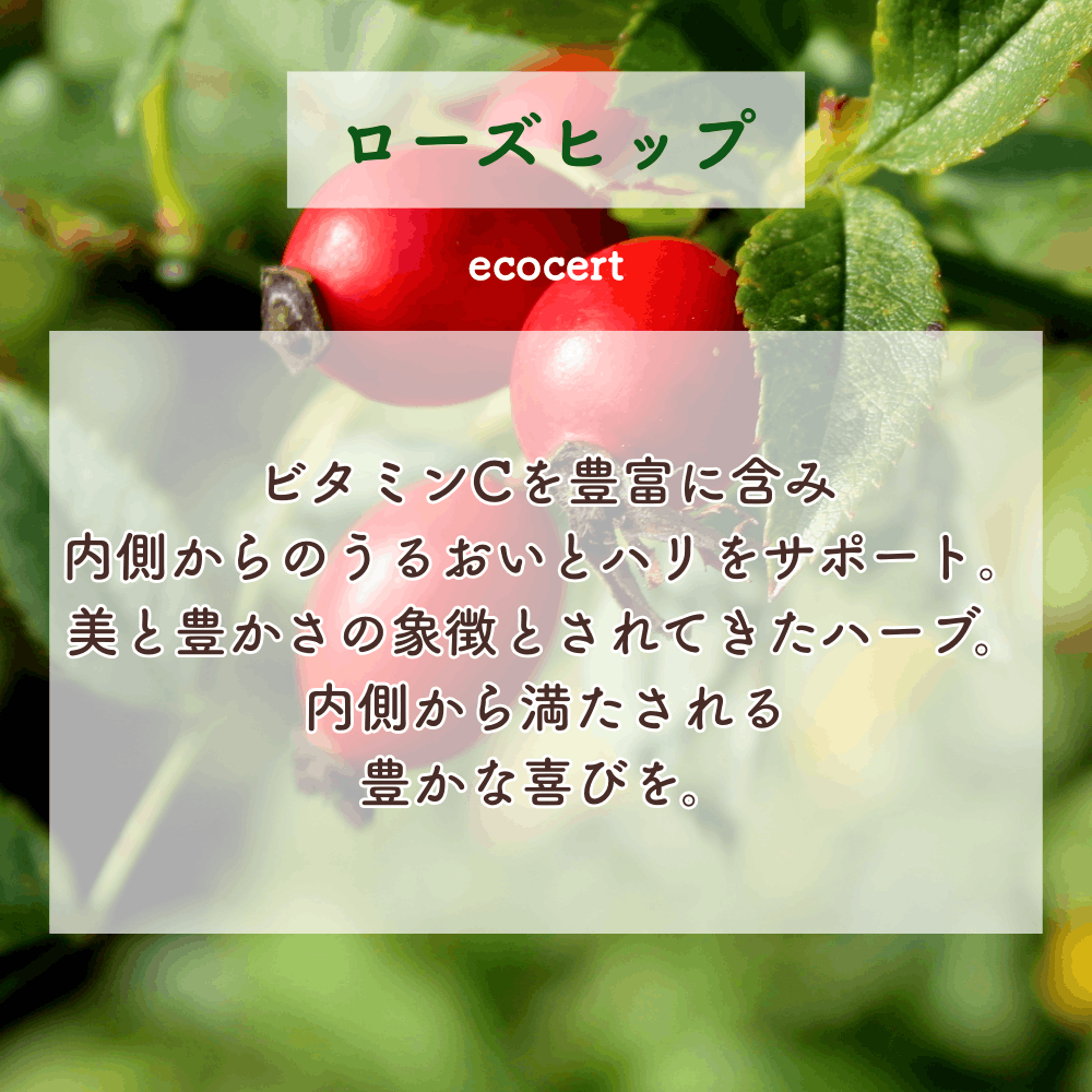 No3 Kira 輝きの光(第3チャクラ)