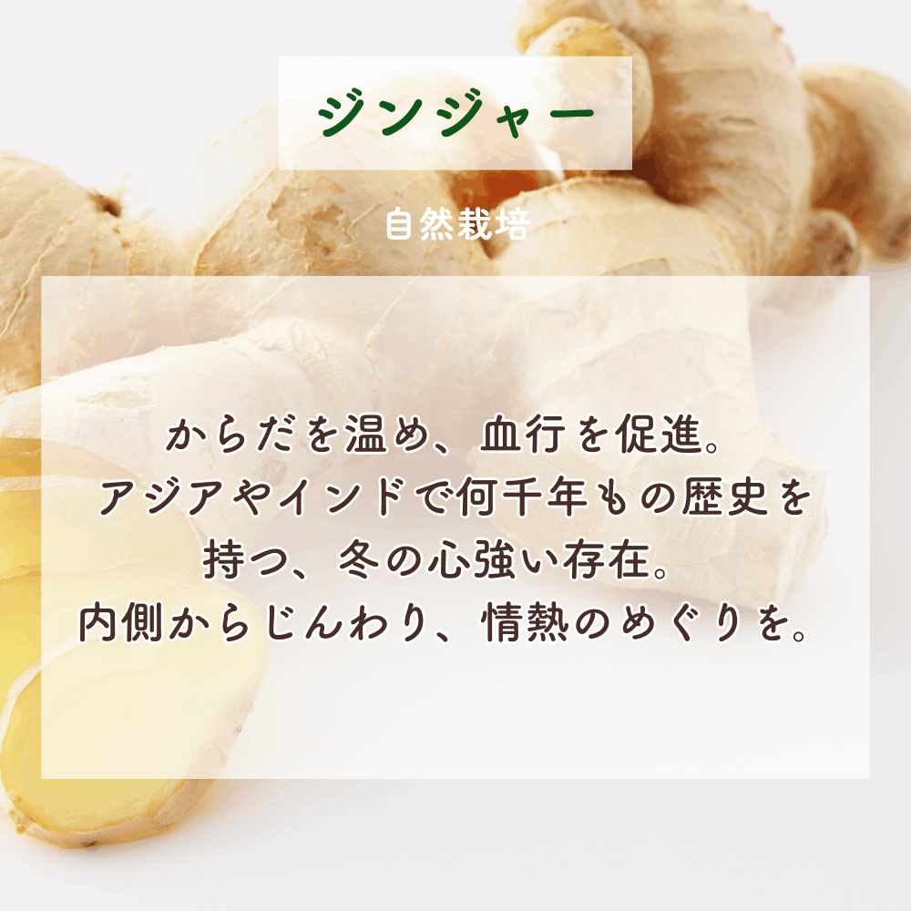 No3 Kira 輝きの光(第3チャクラ)