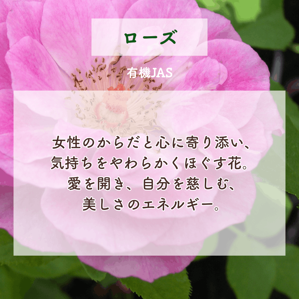 No4 Yui 調和の光(第4チャクラ)