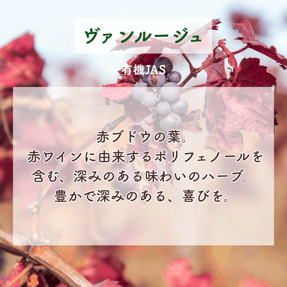 No2 Mai 喜びの光(第2チャクラ)
