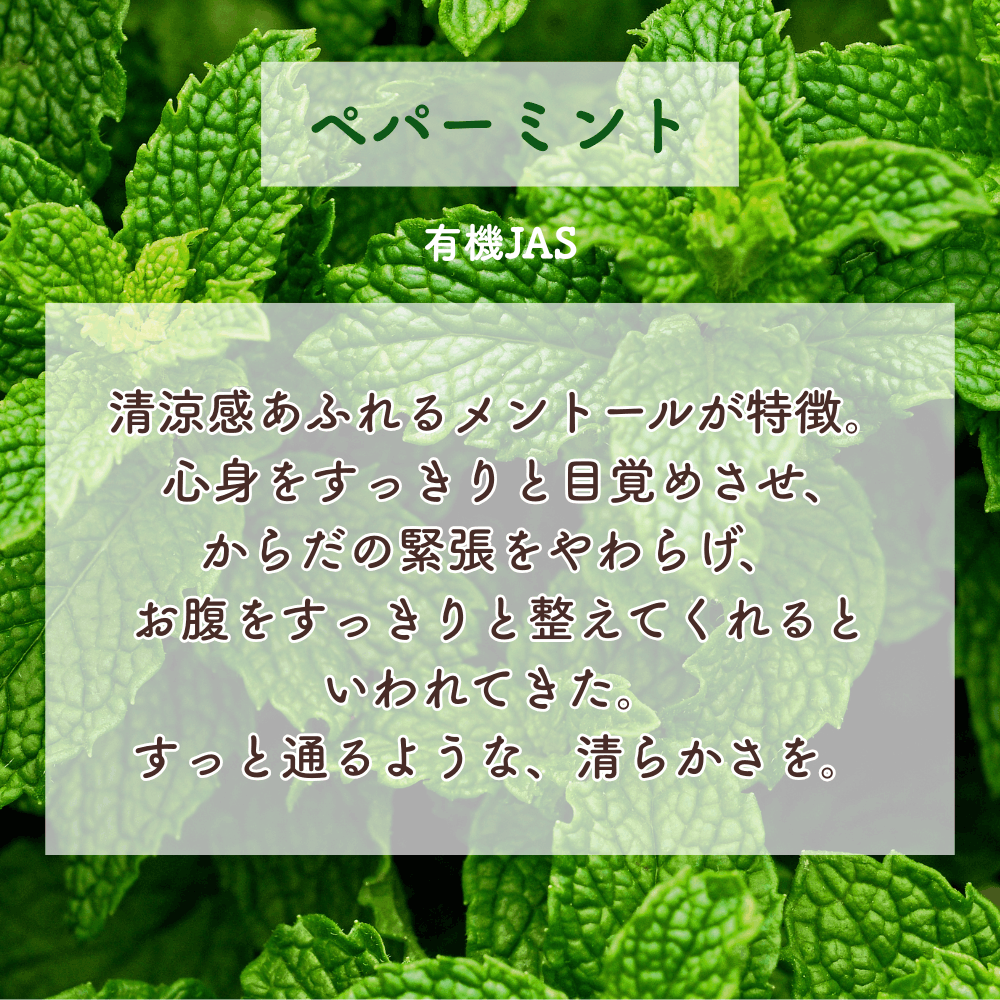 No3 Kira 輝きの光(第3チャクラ)
